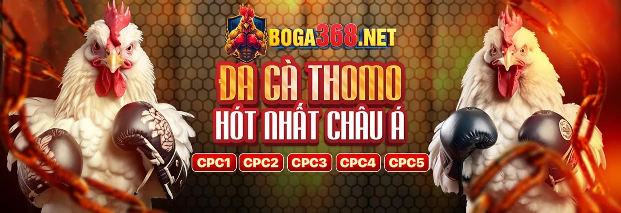Phân tích kèo cược đá gà thông minh