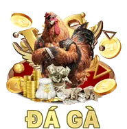 Đá gà & Trò chơi khác