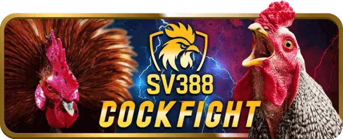Biểu tượng cờ bạc có trách nhiệm tại Bong99 nhà cái